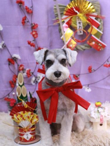 20230124むぎちゃん